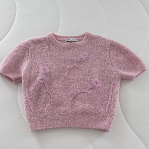 Zara Soft Pink embroidered Floral knit sweater Crop Top